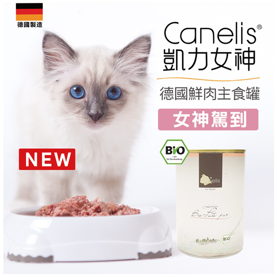 凱力400g中文