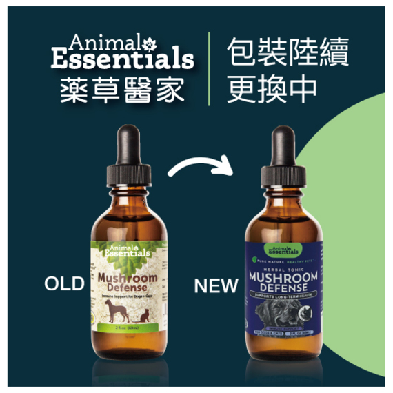 AE包裝更換